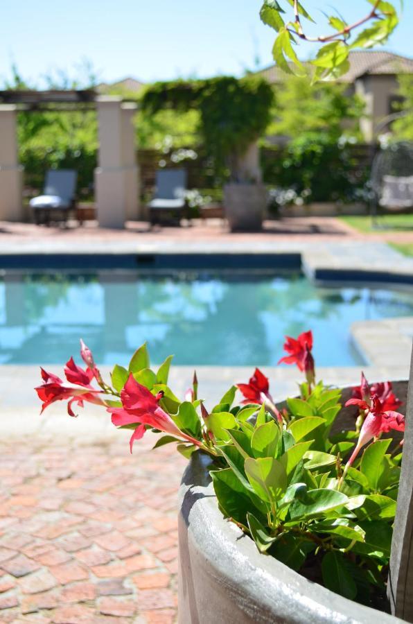 La Bella Vita Studios Paarl Esterno foto